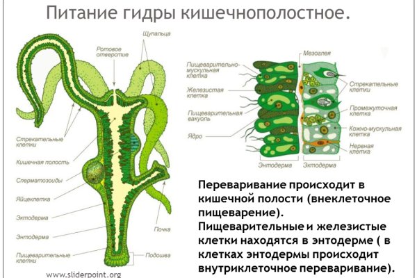 Кракен зеркало тор
