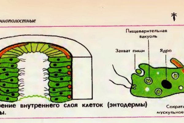 Оригинальные ссылки кракена