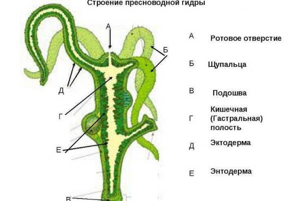 Как купить через кракен